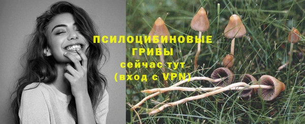 гашик Абдулино
