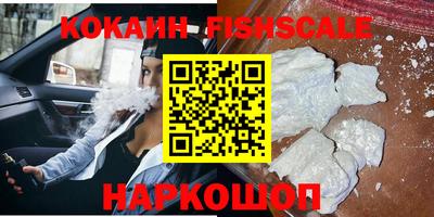 стаф Камышлов
