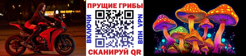 Галлюциногенные грибы GOLDEN TEACHER Людиново