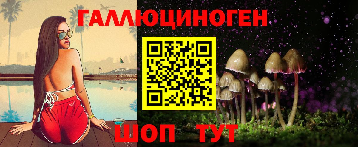 Псилоцибиновые грибы Cubensis  Вход с VPN  Людиново  Галлюциногенные грибы Psilocybe 