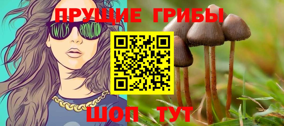 Псилоцибиновые грибы Cubensis Людиново